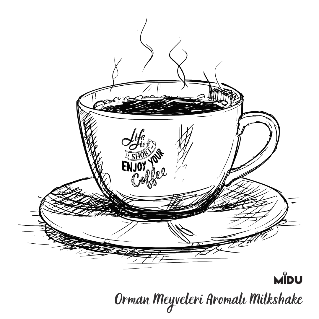 MİLKSHAKE%20ORMAN%20MEYVELİ%201000%20GR.