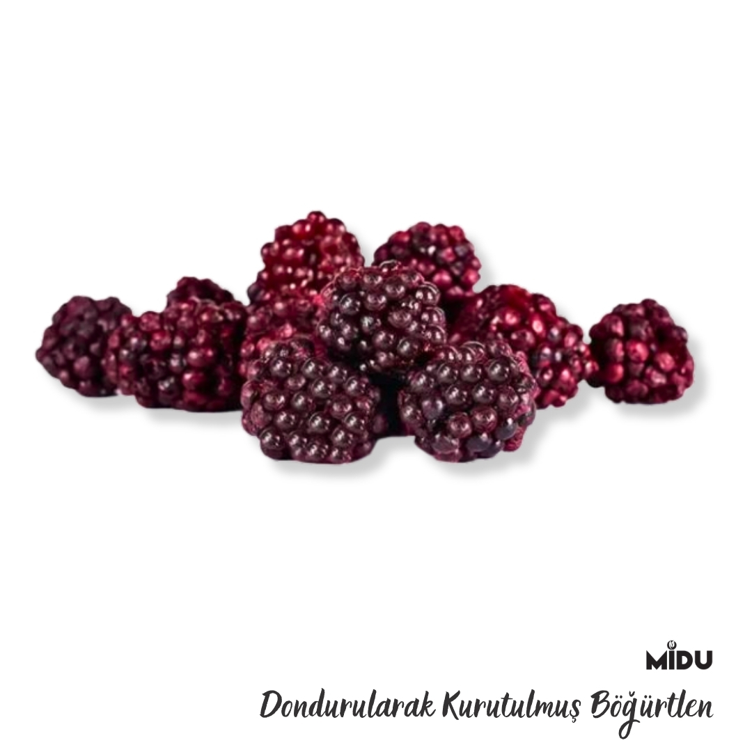 FREEZE%20DRY%20BÖĞÜRTLEN%2050%20GR.